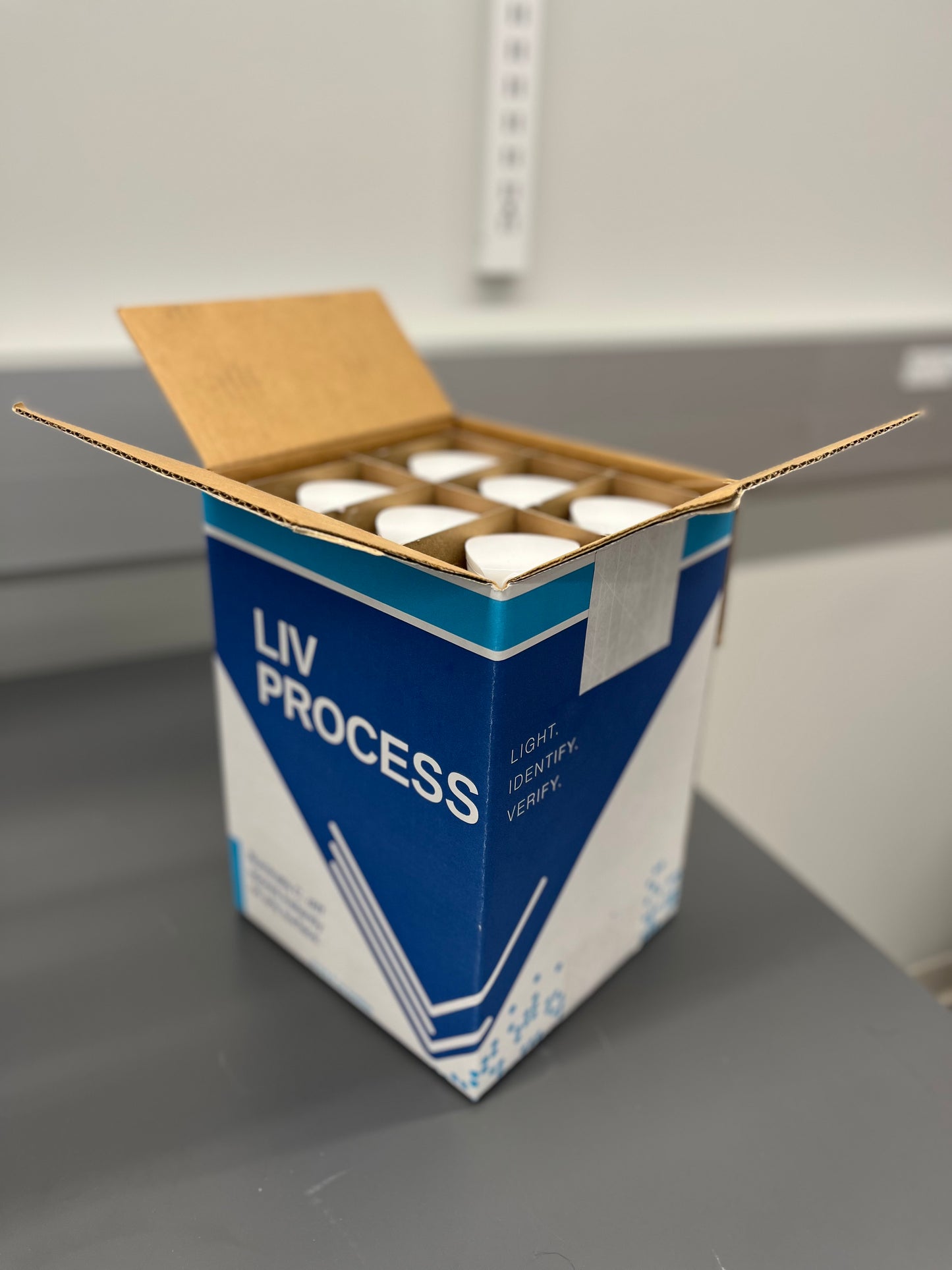 Spray Bottles, 6-Pack Case